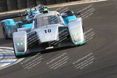 media/Jan-25-2025-CalClub SCCA (Sat) [[03c98a249e]]/Race 2/
